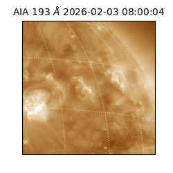 saia - 2026-02-03T08:00:04.843000