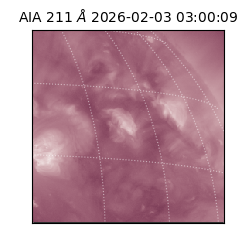 saia - 2026-02-03T03:00:09.633000