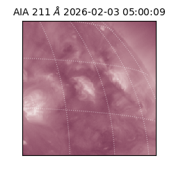 saia - 2026-02-03T05:00:09.626000