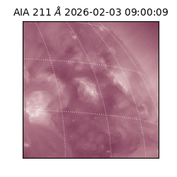 saia - 2026-02-03T09:00:09.625000