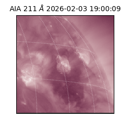 saia - 2026-02-03T19:00:09.632000