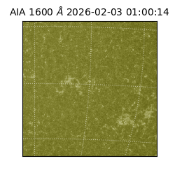 saia - 2026-02-03T01:00:14.126000