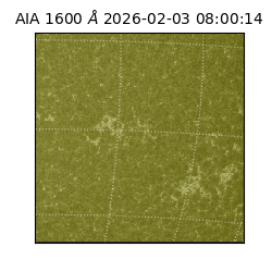 saia - 2026-02-03T08:00:14.126000