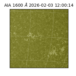 saia - 2026-02-03T12:00:14.126000