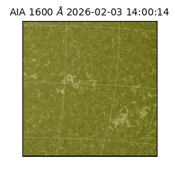 saia - 2026-02-03T14:00:14.124000