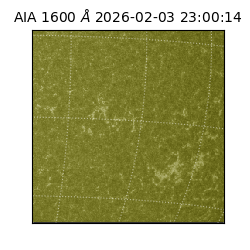 saia - 2026-02-03T23:00:14.126000