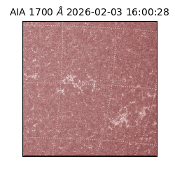 saia - 2026-02-03T16:00:28.717000