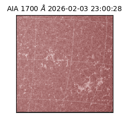 saia - 2026-02-03T23:00:28.717000