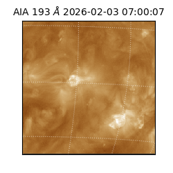 saia - 2026-02-03T07:00:07.033000