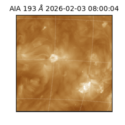 saia - 2026-02-03T08:00:04.843000