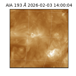 saia - 2026-02-03T14:00:04.835000