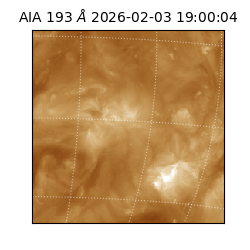 saia - 2026-02-03T19:00:04.843000