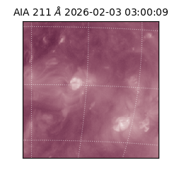 saia - 2026-02-03T03:00:09.633000