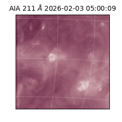 saia - 2026-02-03T05:00:09.626000