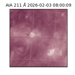 saia - 2026-02-03T08:00:09.631000