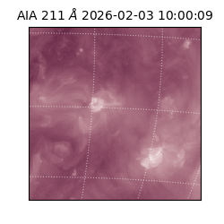 saia - 2026-02-03T10:00:09.632000