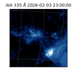 saia - 2026-02-03T23:00:00.625000