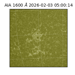 saia - 2026-02-03T05:00:14.118000