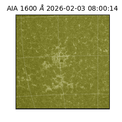 saia - 2026-02-03T08:00:14.126000