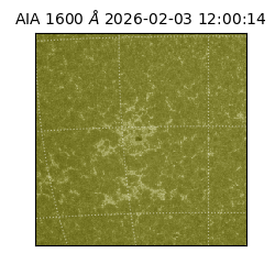 saia - 2026-02-03T12:00:14.126000