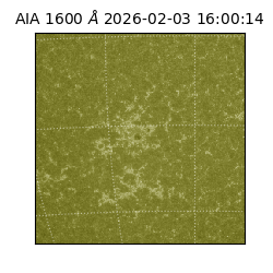 saia - 2026-02-03T16:00:14.132000