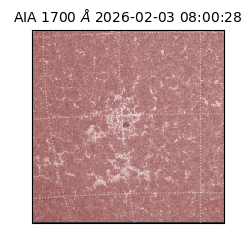 saia - 2026-02-03T08:00:28.710000