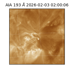 saia - 2026-02-03T02:00:06.431000