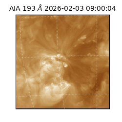 saia - 2026-02-03T09:00:04.835000