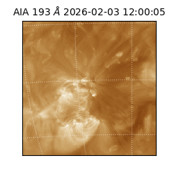 saia - 2026-02-03T12:00:05.627000