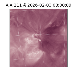 saia - 2026-02-03T03:00:09.633000