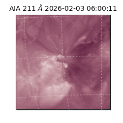 saia - 2026-02-03T06:00:11.931000