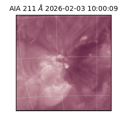 saia - 2026-02-03T10:00:09.632000