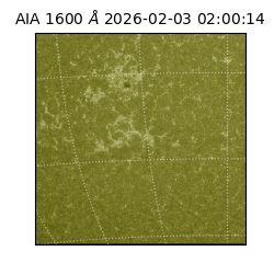 saia - 2026-02-03T02:00:14.126000