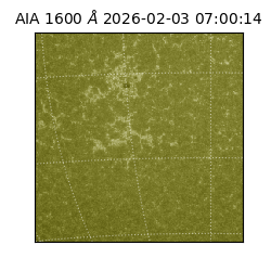 saia - 2026-02-03T07:00:14.124000