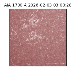 saia - 2026-02-03T03:00:28.726000