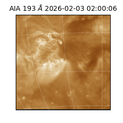 saia - 2026-02-03T02:00:06.431000