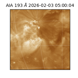saia - 2026-02-03T05:00:04.838000