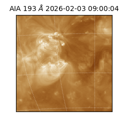 saia - 2026-02-03T09:00:04.835000