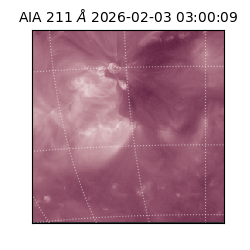 saia - 2026-02-03T03:00:09.633000