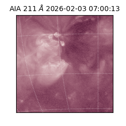 saia - 2026-02-03T07:00:13.199000