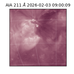 saia - 2026-02-03T09:00:09.625000