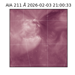 saia - 2026-02-03T21:00:33.626000