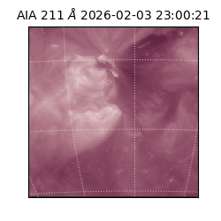 saia - 2026-02-03T23:00:21.631000