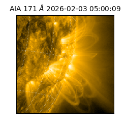 saia - 2026-02-03T05:00:09.343000