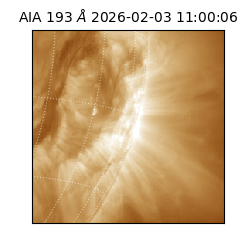 saia - 2026-02-03T11:00:06.232000