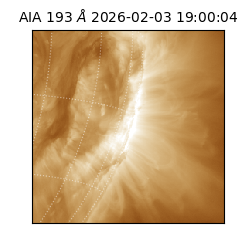 saia - 2026-02-03T19:00:04.843000