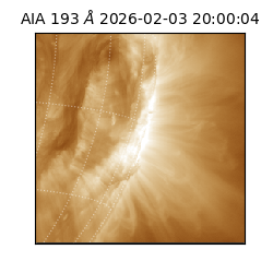 saia - 2026-02-03T20:00:04.843000