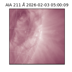 saia - 2026-02-03T05:00:09.626000