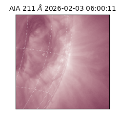 saia - 2026-02-03T06:00:11.931000