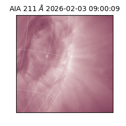 saia - 2026-02-03T09:00:09.625000